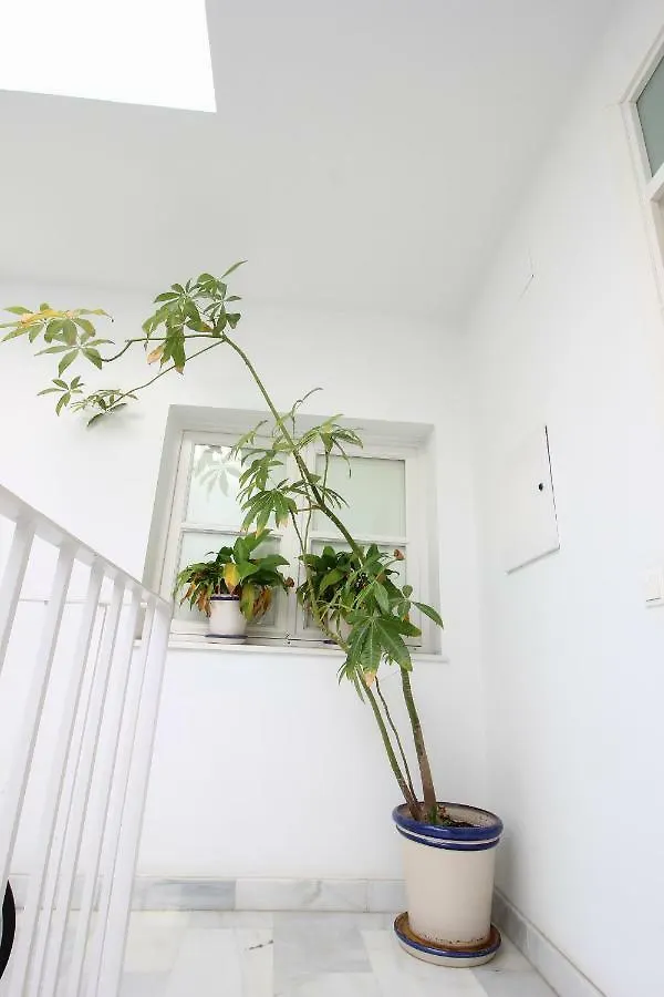 Apartamento Centro San Luis Seville